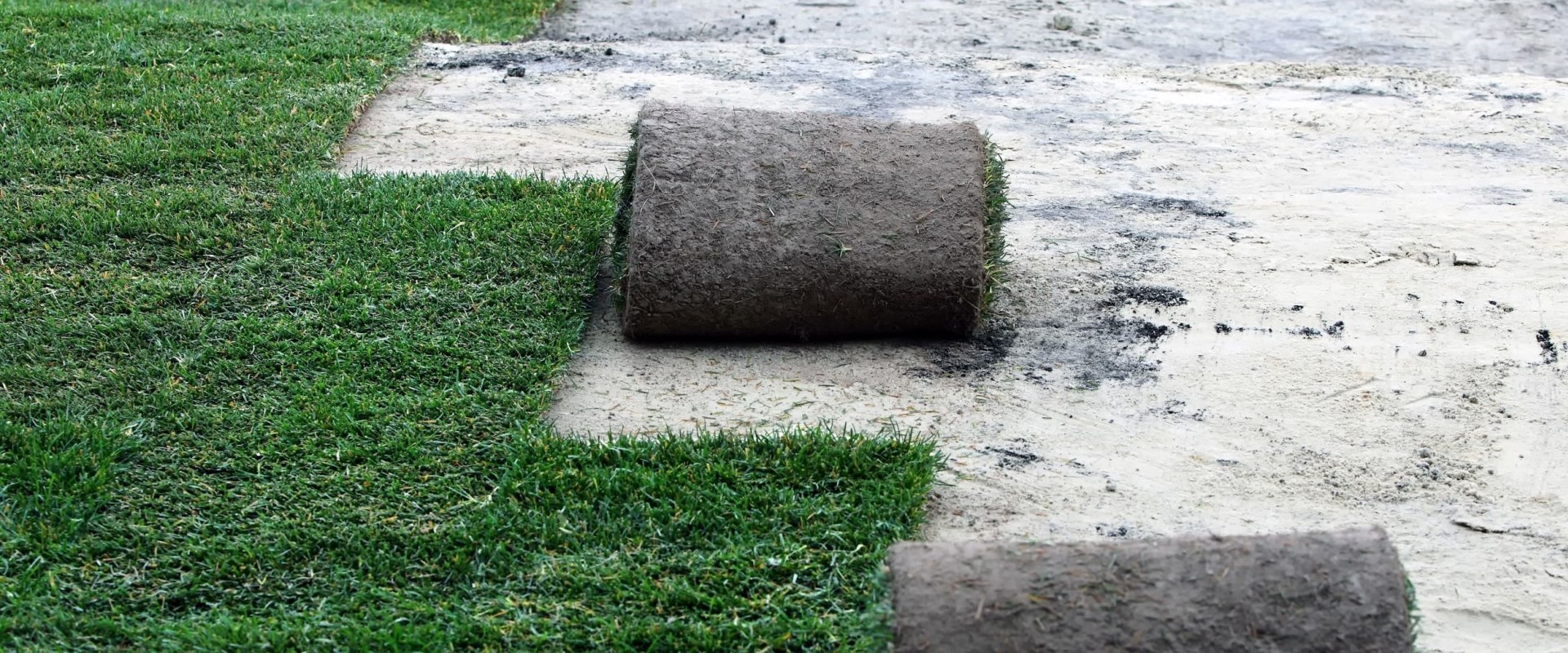 Is it better to plant grass seed or sod?