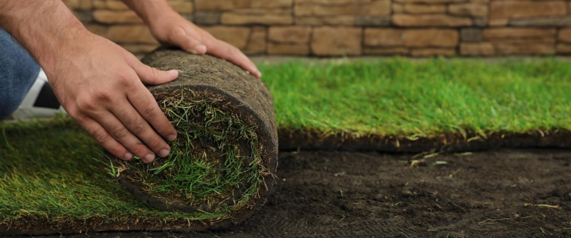 Is sod natural grass?