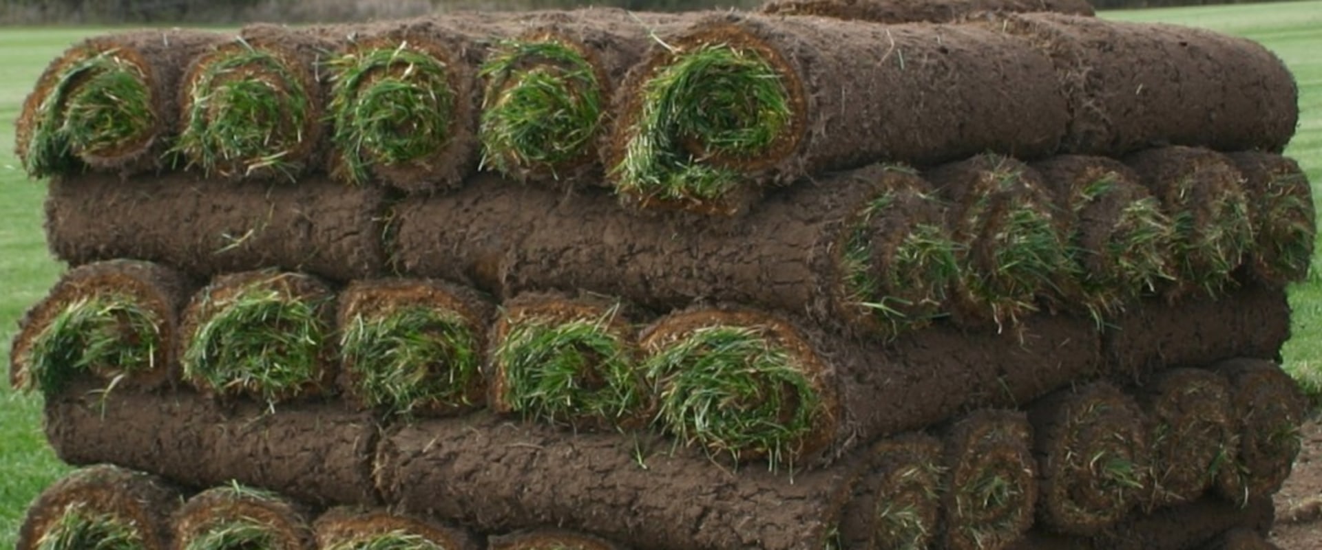 What are those rolls of grass called?