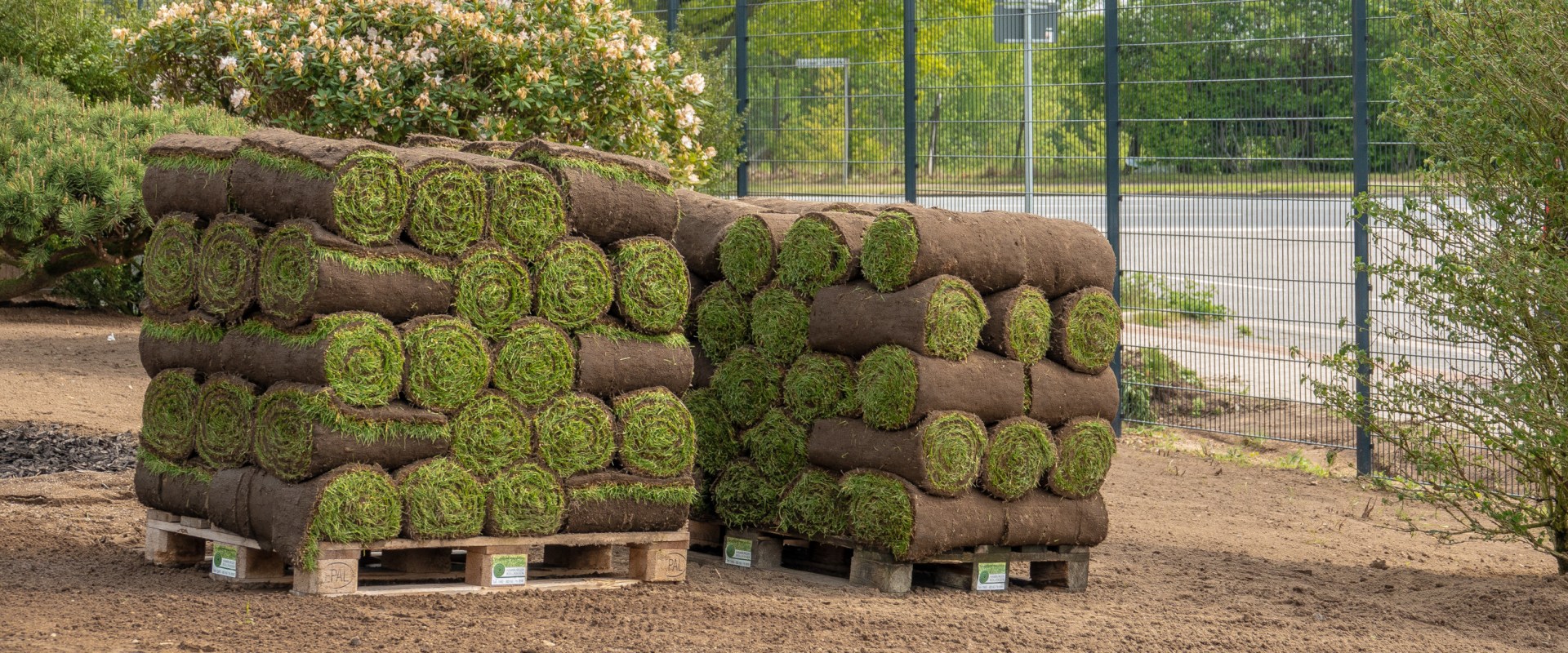 How long can i leave sod on a pallet?