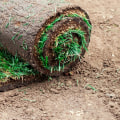 How long is sod good for rolled up?