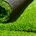 Why turf grass?
