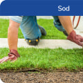 Is sod better than grass?