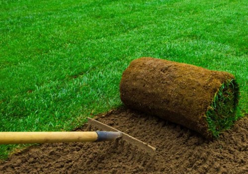 Is sod worth the money?