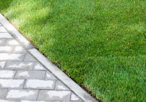 How long does it take for grass to grow from sod?
