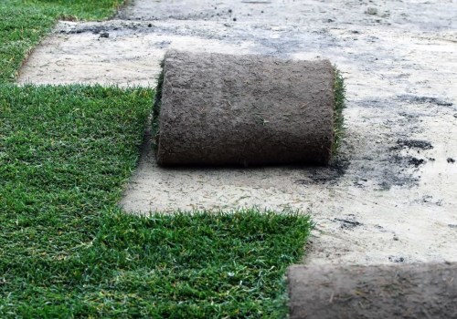 Is it better to plant grass seed or sod?