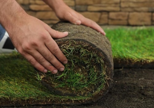 Is sod natural grass?