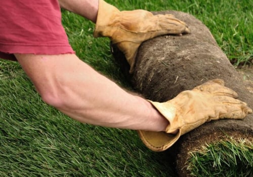 When to plant grass sod?